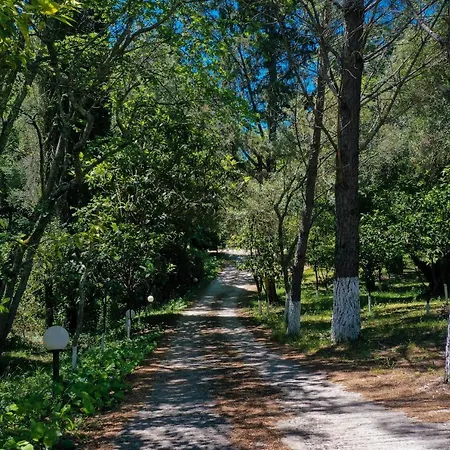 Postatiko Corfu Kynopiástai