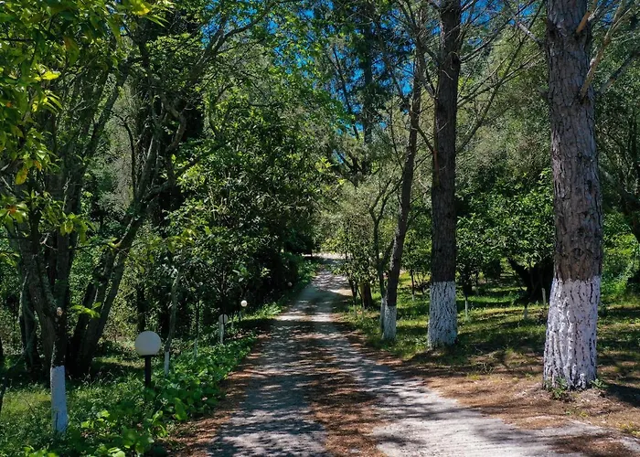Postatiko Corfu Kynopiástai